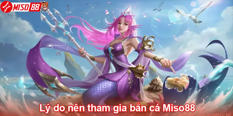 Lý do nên tham gia bắn cá Miso88