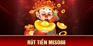 rut tien miso88 thumb