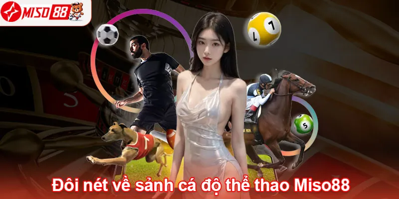 Giới thiệu đôi nét về sảnh cá độ thể thao Miso88